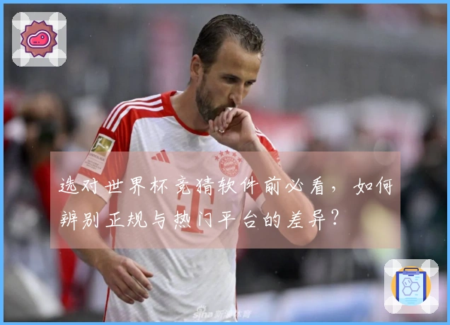 选对世界杯竞猜软件前必看，如何辨别正规与热门平台的差异？