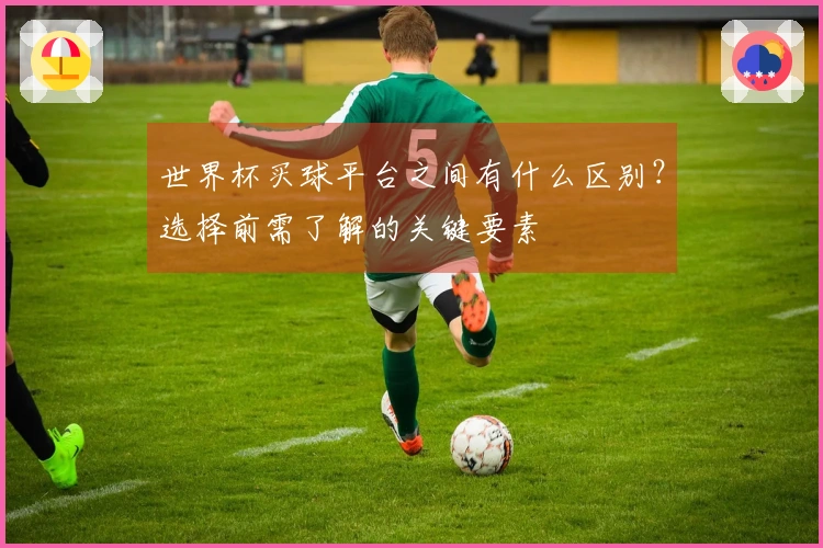 世界杯买球平台之间有什么区别?选择前需了解的关键要素