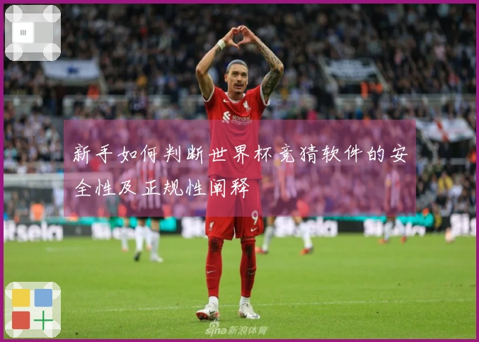 新手如何判断世界杯竞猜软件的安全性及正规性阐释
