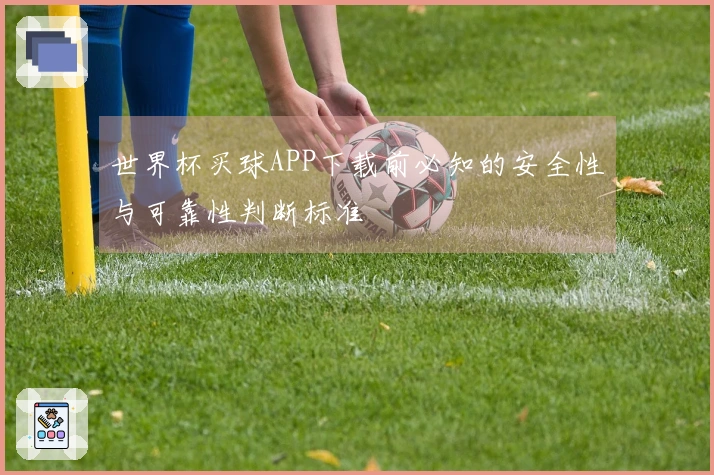 世界杯买球APP下载前必知的安全性与可靠性判断标准