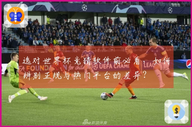 选对世界杯竞猜软件前必看，如何辨别正规与热门平台的差异？