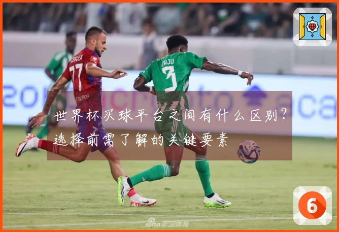 世界杯买球平台之间有什么区别？选择前需了解的关键要素