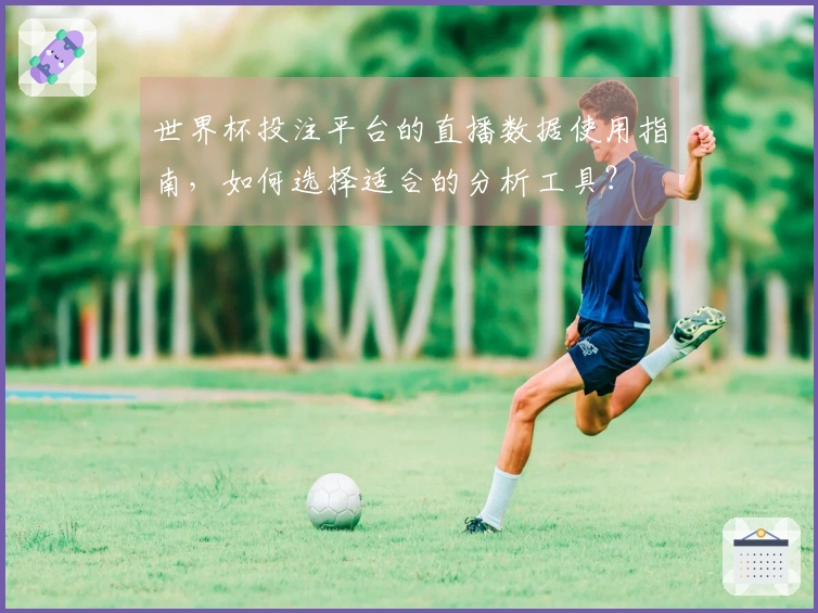 世界杯投注平台的直播数据使用指南，如何选择适合的分析工具？